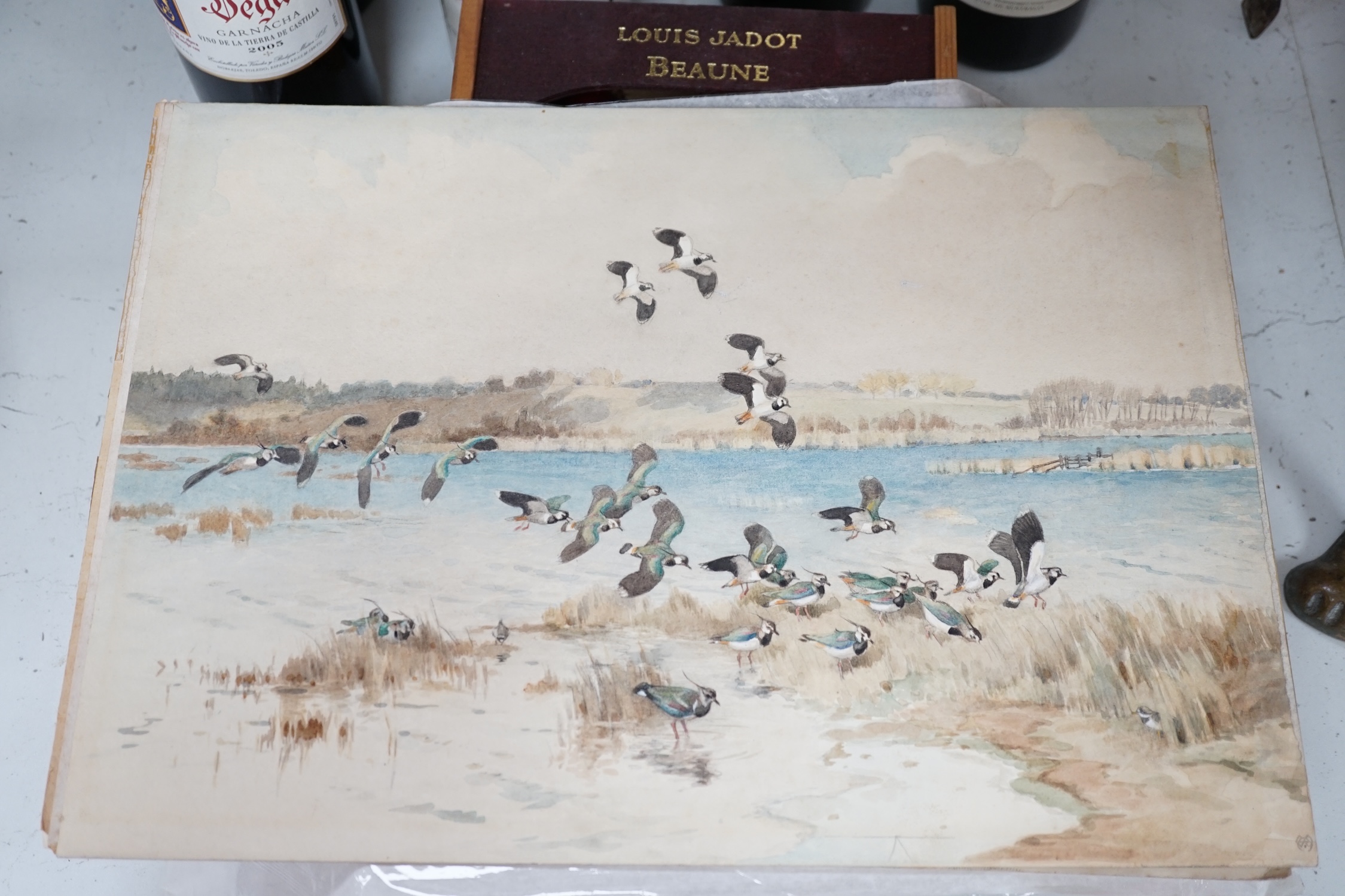 Winifred Austen (1876-1964), watercolour on card, lapwings in flight, signed with monogram, unframed, 28 x 39cm. Condition - fair